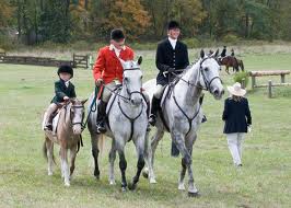 horse trials